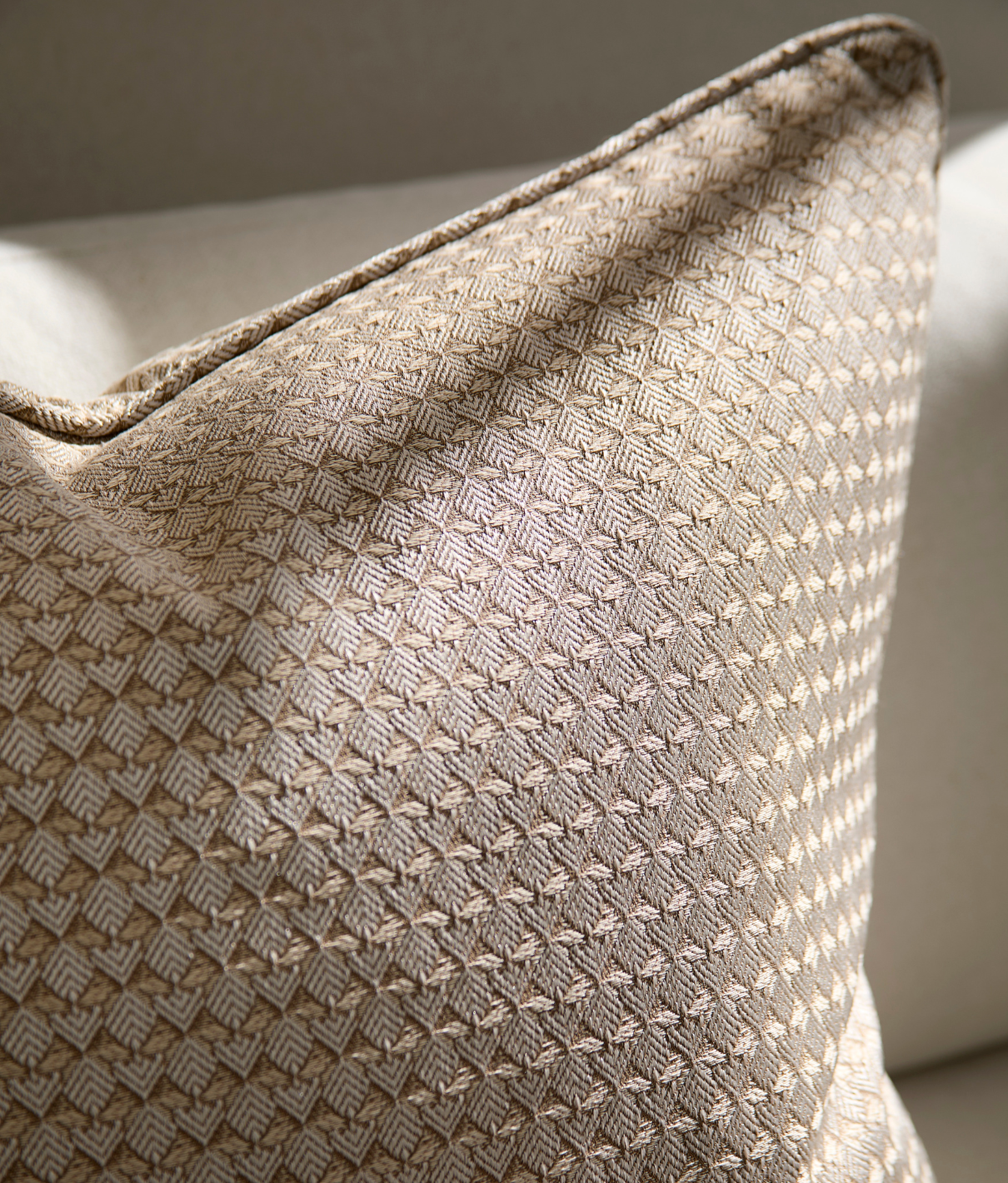 Taylor Cushion