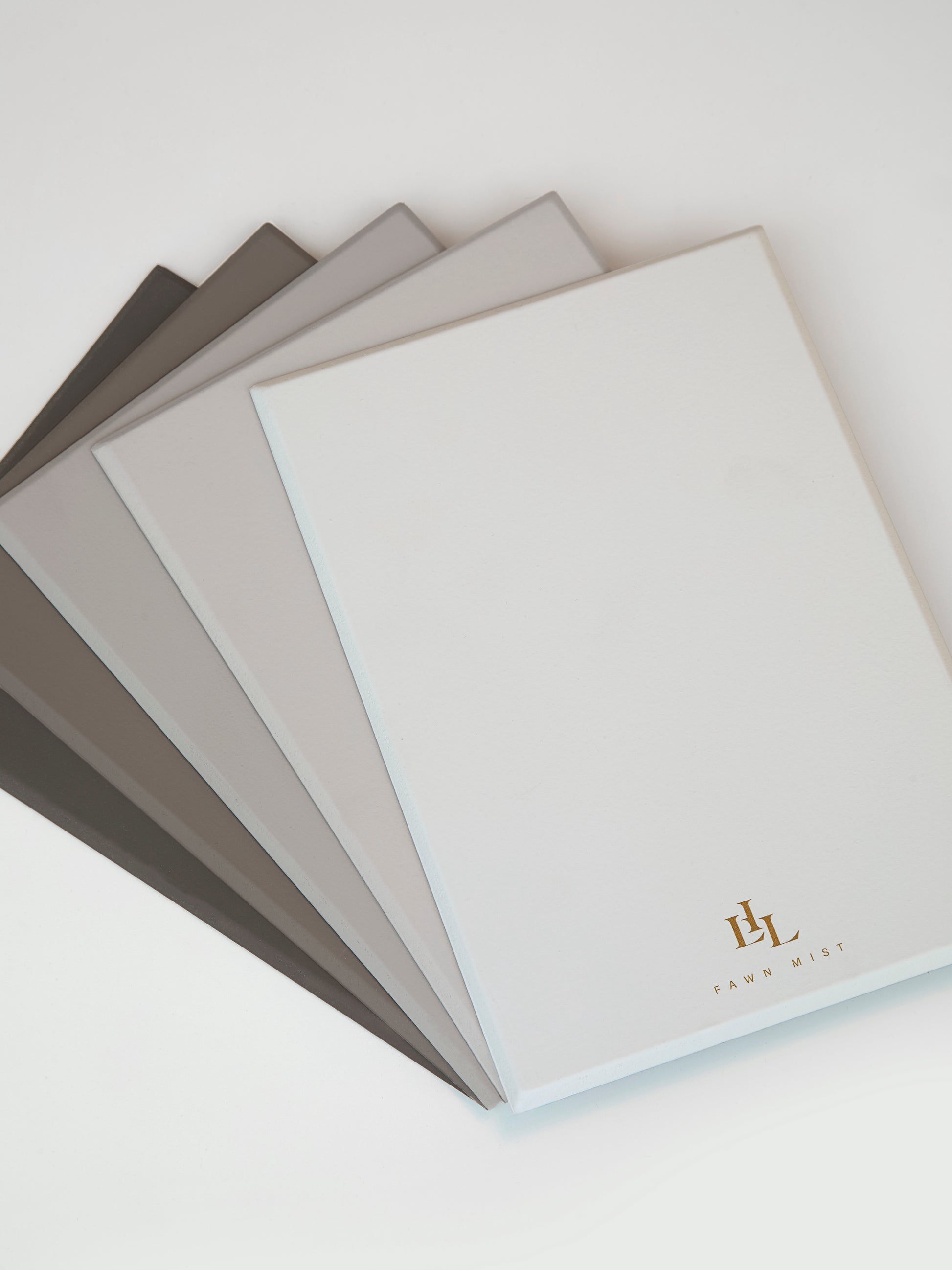 Paint - Fawn Mist