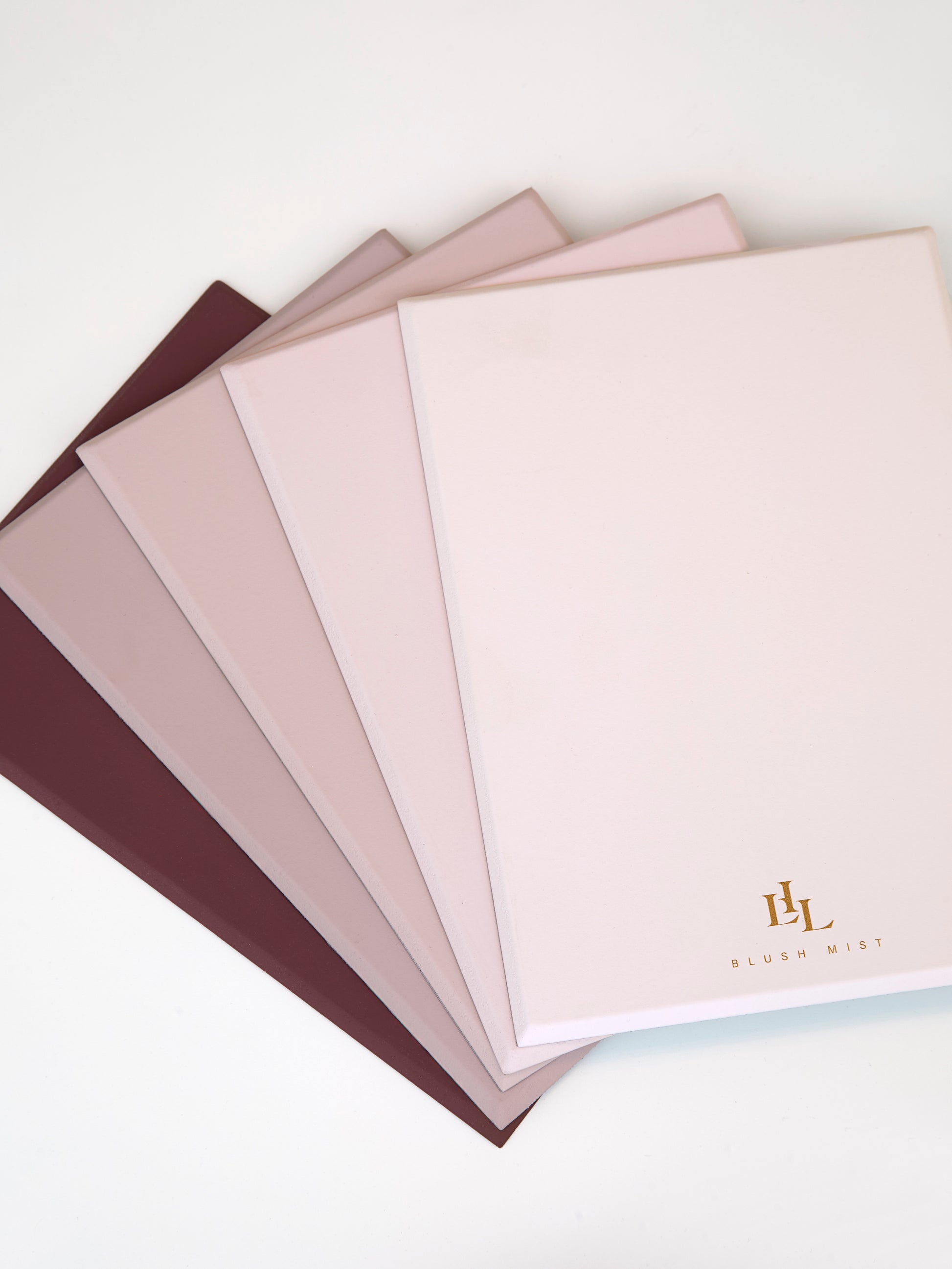 Paint - Blush Light