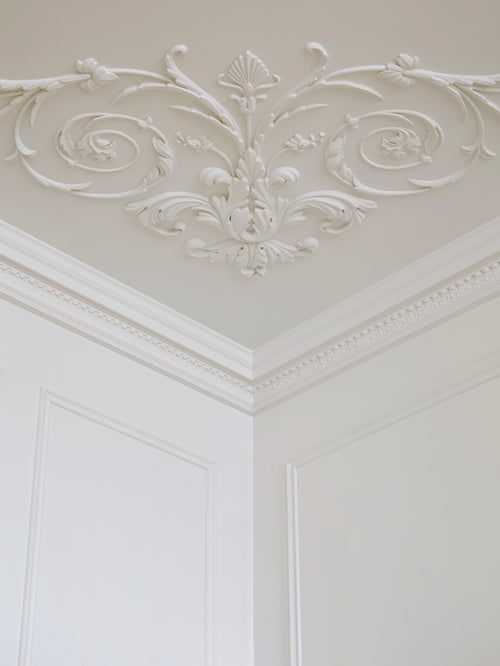 Paint - Perfect White