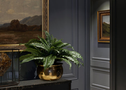 Most Loved - Wallcoverings