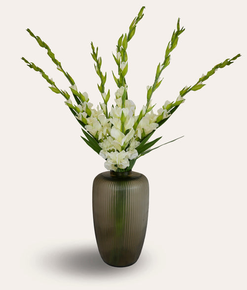 White Gladiolas Spray - Large