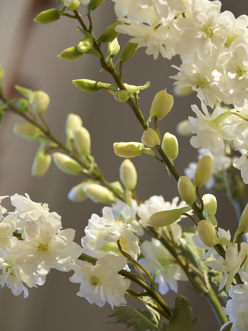 White Delphinium Spray - Large