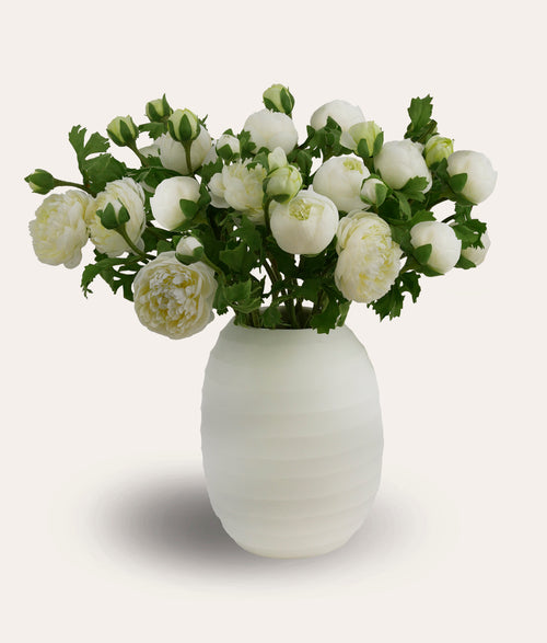 White Ranunculus Bouquet - Medium