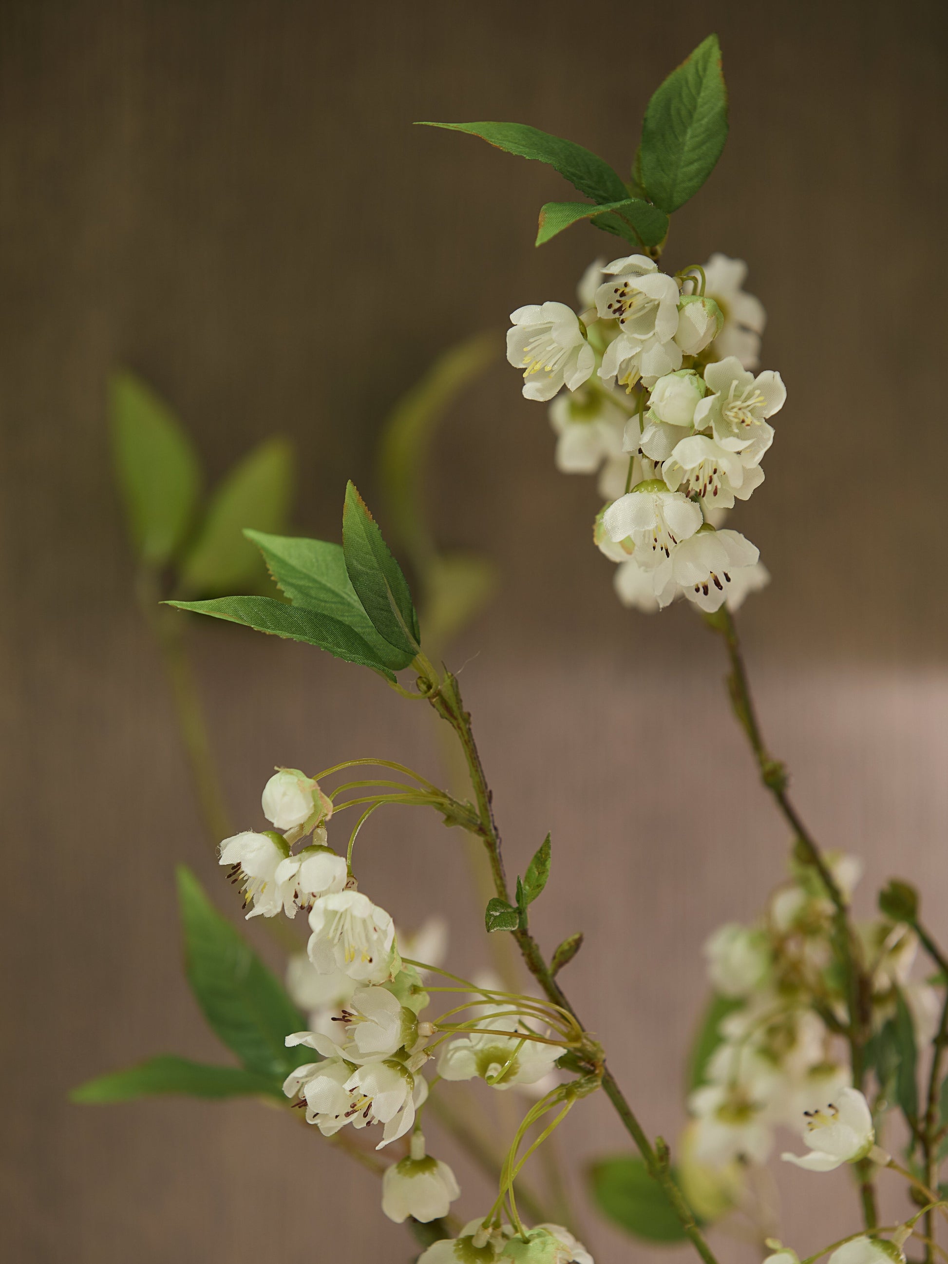 Wild Jasmine & Mini Blossom Spray - Medium
