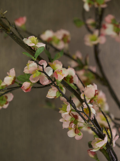 Pink Plum Blossom Spray - Medium
