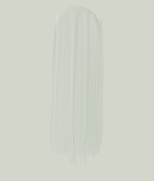 Paint - Sage Mist