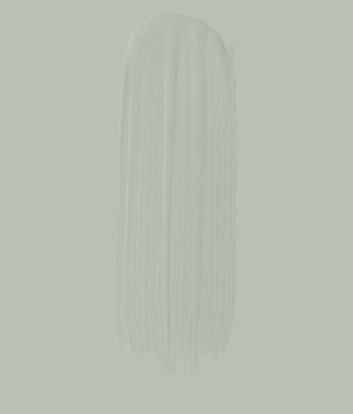 Paint - Sage Tint